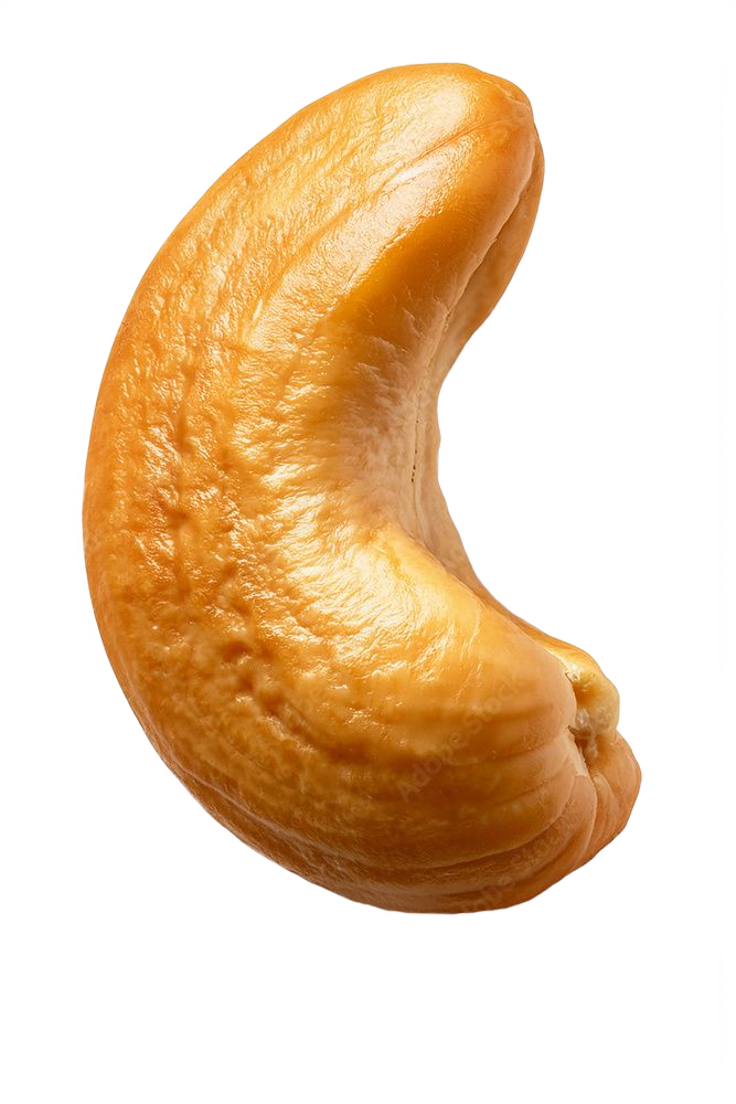 Cashew