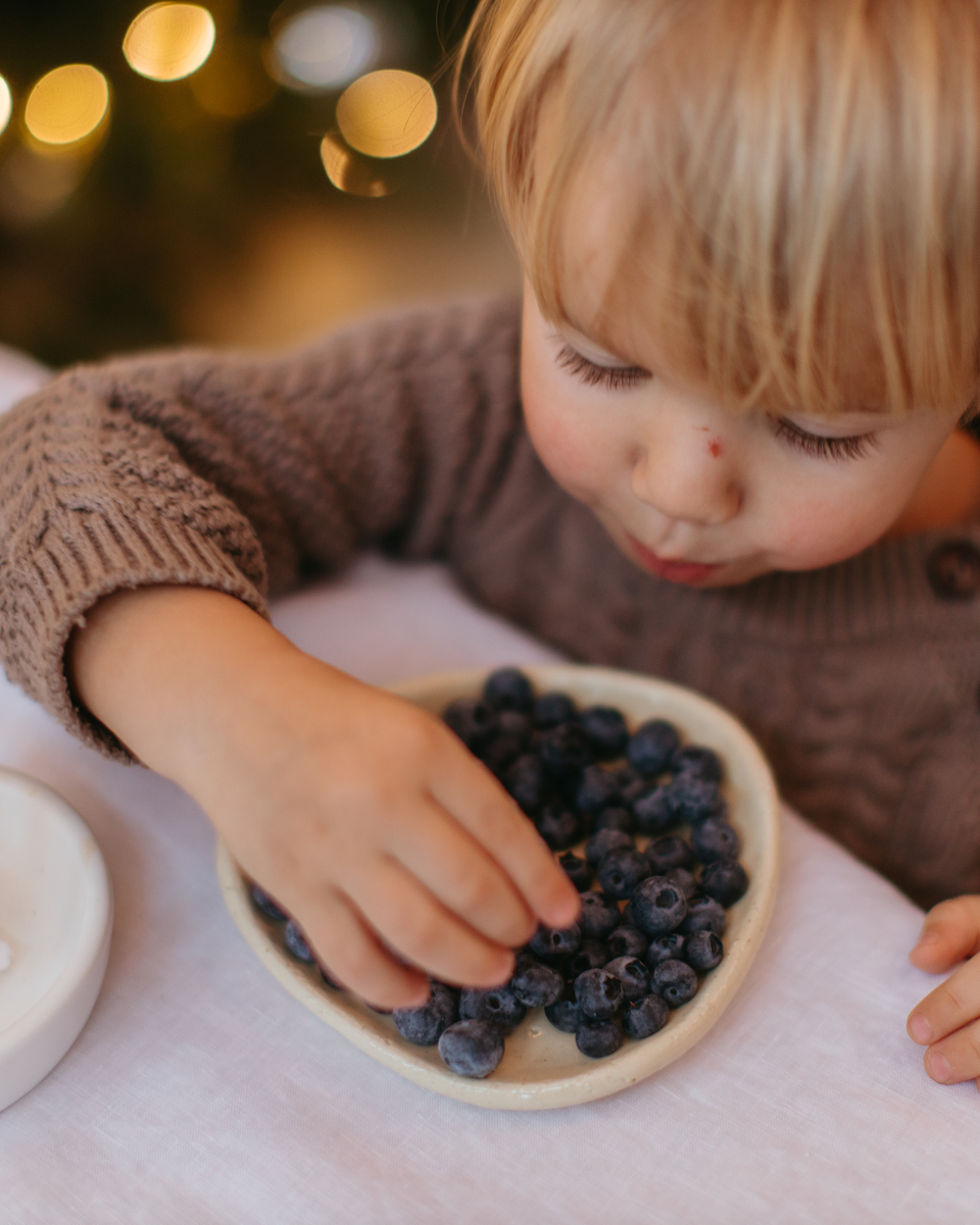 Close-up of dried berries and fruits